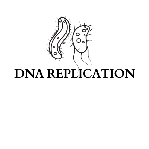 DNA REPLICATION